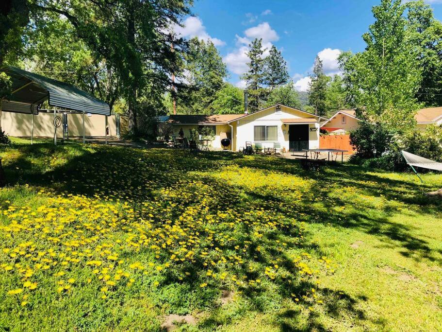Sierra Sunset Cottage -Yosemite Area Vacation Cottage Ahwahnee Ngoại thất bức ảnh